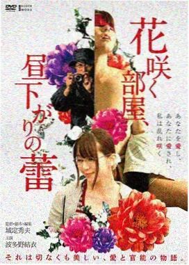 大地MV电子音浪高清在线